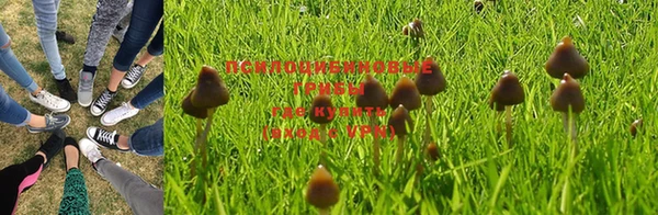 кокаин VHQ Нефтегорск